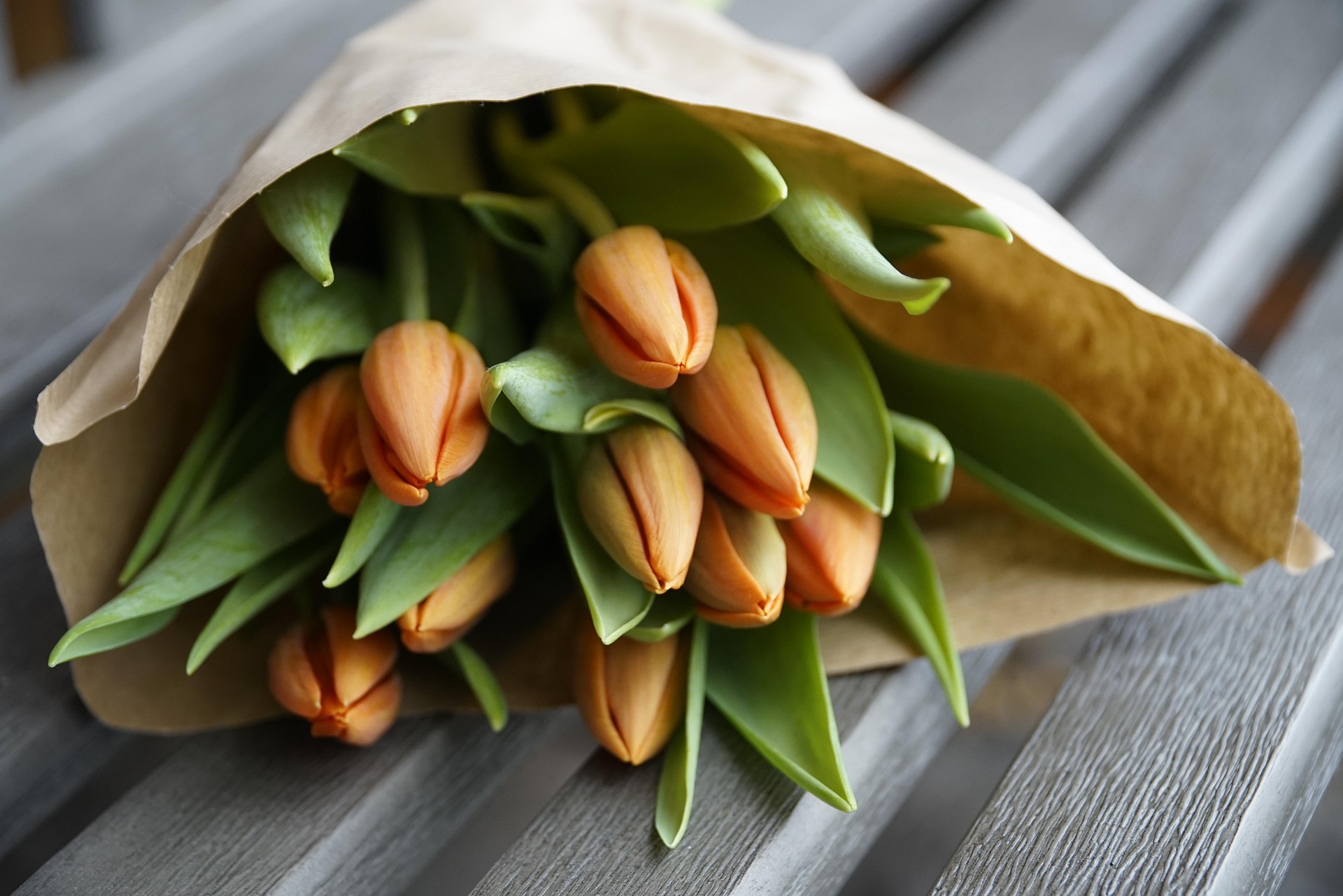 Tulips